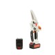 Mini drujba Campion cu 2 acumulatori, lama 8 inch CMP1699