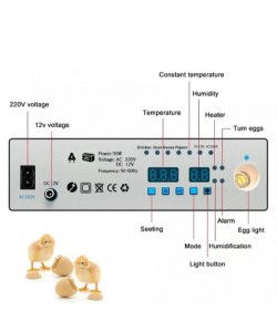 Incubator automat MS-176 (12V/220V)