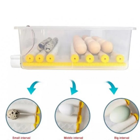 Incubator automat MS-176 (12V/220V)