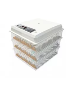 Incubator automat MS-176 (12V/220V) Incubator automat MS-176 (12V/220V)