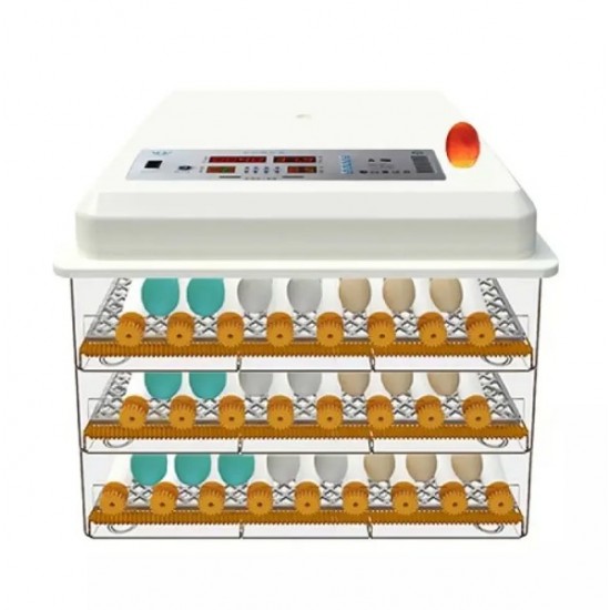 Incubator automat MS-176 (12V/220V)