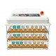 Incubator automat MS-176 (12V/220V)