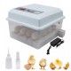 Incubator automat MS-16 (12V/ 220V)