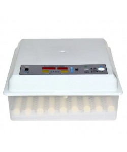 Incubator automat MS-36 (12V/220V)