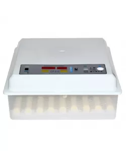 Incubator automat MS-36 (12V/220V) Incubator automat MS-36 (12V/220V)