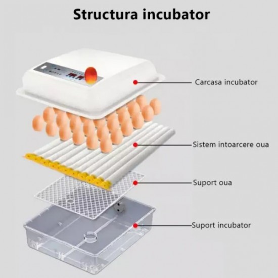 Incubator automat MS-36 (12V/220V)