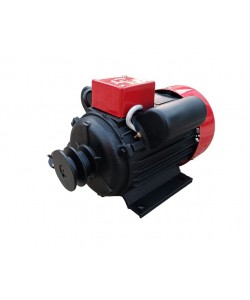 Motor electric Monofazat Yamamoto 3 Kw, 3000rpm,bobinaj cupru YM100L-2