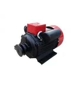 Motor electric Monofazat Yamamoto 1.3 Kw, 3000rpm,bobinaj cupru YL802-2 Motor electric Monofazat Yamamoto 1.3 Kw, 3000rpm,bobinaj cupru YL802-2