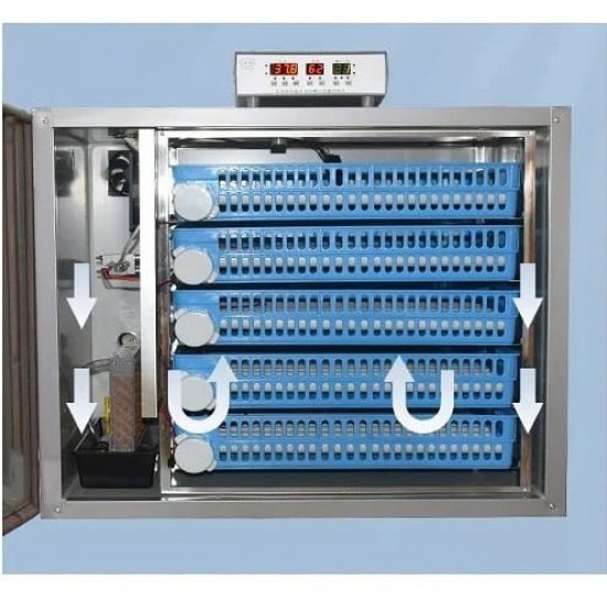 Incubator pentru oua MS-256 (12V/220V)