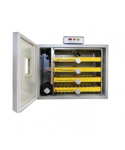 Incubator profesional MS-240 (12V/220V)