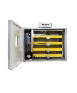 Incubator profesional MS-240 (12V/220V)