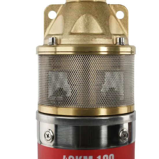 Pachet hidrofor Pompa submersibila ELEFANT 4SKM-100, 750W, 60 l/min + Presostat electronic 2.2kW