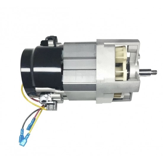 Motor electric 220 V mori de cereale 1.0 kW / 19000 RPM