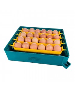 Incubator automat culoare verde  MS-24 oua