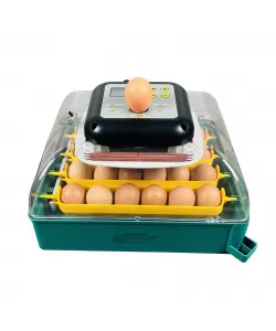 Incubator automat culoare verde MS-24 oua Incubator automat culoare verde MS-24 oua