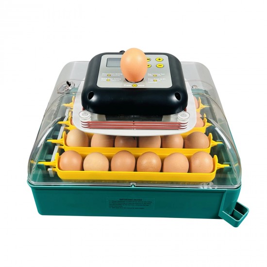 Incubator automat culoare verde  MS-24 oua