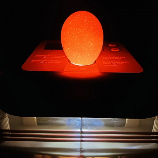 Incubator automat culoare verde  MS-24 oua