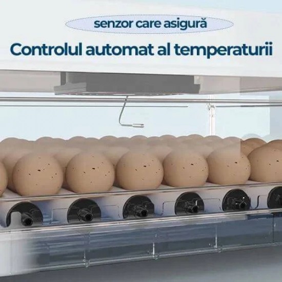 Produs resigilat Incubator automat MS-130