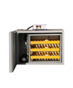 Incubator profesional MS-180