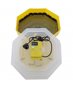 Incubator electric oua cu termometru Cleo 5T, 230 V, 60 oua capacitate, 38°C temperatura incubare