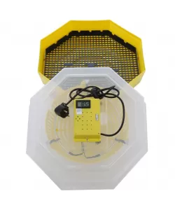 Incubator electric oua cu termometru Cleo 5T, 230 V, 60 oua capacitate, 38°C temperatura incubare Incubator electric oua cu termometru Cleo 5T, 230 V, 60 oua capacitate, 38°C temperatura incubare
