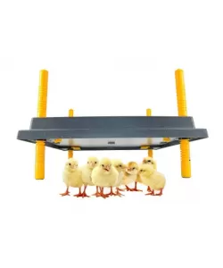 Panou de incalzire pentru pui MS-30X40- Closca Electrica