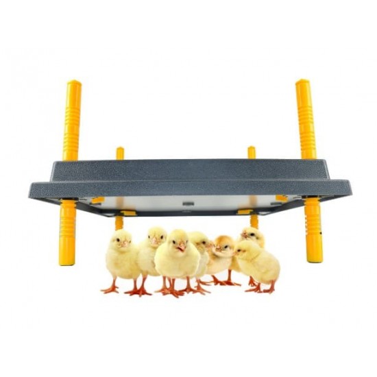 Panou de incalzire pentru pui MS-30X40- Closca Electrica