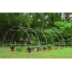 Solar legume 3 x 6 x 2 + Cadou sistem de irigare