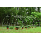 Solar legume 3 x 8 x 2 + Cadou sistem de irigare