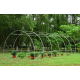 Solar legume 2 x 3 x 2 + Cadou sistem de irigare
