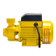 Pompa apa de suprafata QB60, 370 W, 20 m