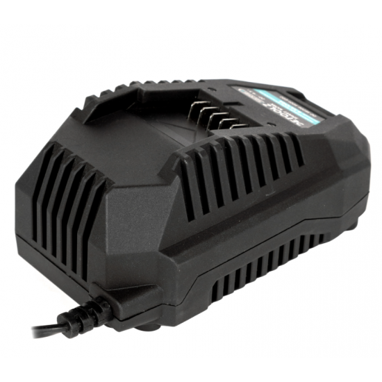 Incarcator rapid, Detoolz, pentru acumulator 20V, incarcare 4.5A/h