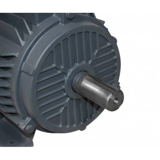 MOTOR ELECTRIC 7.5 KW 3000 RPM / 380V (MT020.1)