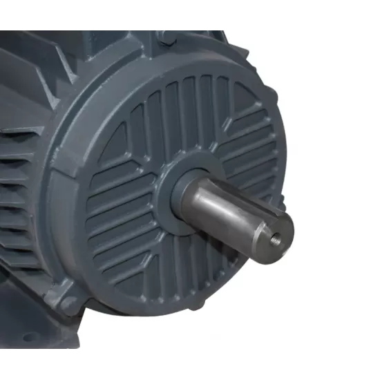 MOTOR ELECTRIC 7.5 KW 3000 RPM / 380V (MT020.1)