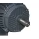 MOTOR ELECTRIC 7.5 KW 3000 RPM / 380V (MT020.1)