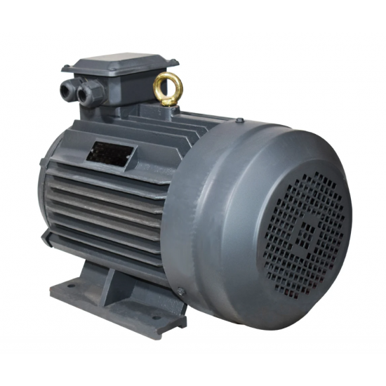 MOTOR ELECTRIC 7.5 KW 3000 RPM / 380V (MT020.1)