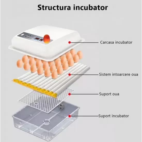 Incubator automat MS-120 (12V/220V)