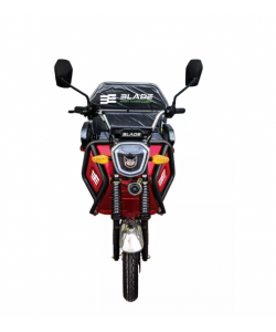 TRICICLU CARGO 1300W - ACTIVE R6 BLADE
