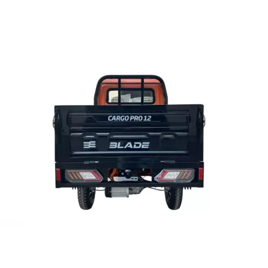 MASINA ELECTRICA/TRICICLU/CAVDRICLU PICKUP CARGO 3000W, putere maxima 4900W - CARGO PRO 12