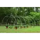 Solar legume 2 x 2 x 2m, folie 180g/m2 : Cadou Sistem de irigare + Ata palisare + Set rasadire plante Solar legume 2 x 2 x 2m, folie 180g/m2 : Cadou Sistem de irigare + Ata palisare + Set rasadire plante