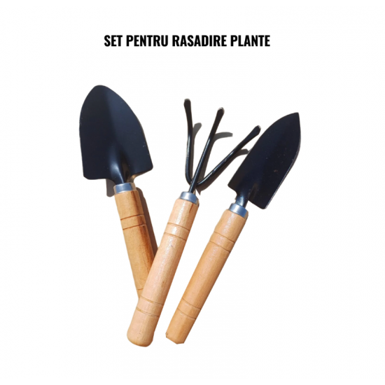 Solar legume 4 x 10 x 2.30m, folie 180g/m2 : Cadou Sistem de irigare + Ata palisare + Set rasadire plante