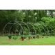 Solar legume 4 x 10 x 2.30m, folie 180g/m2 : Cadou Sistem de irigare + Ata palisare + Set rasadire plante Solar legume 4 x 10 x 2.30m, folie 180g/m2 : Cadou Sistem de irigare + Ata palisare + Set rasadire plante