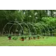 Solar legume 4 x 12 x 2.30m, folie 180g/m2 : Cadou Sistem de irigare + Ata palisare + Set rasadire plante Solar legume 4 x 12 x 2.30m, folie 180g/m2 : Cadou Sistem de irigare + Ata palisare + Set rasadire plante