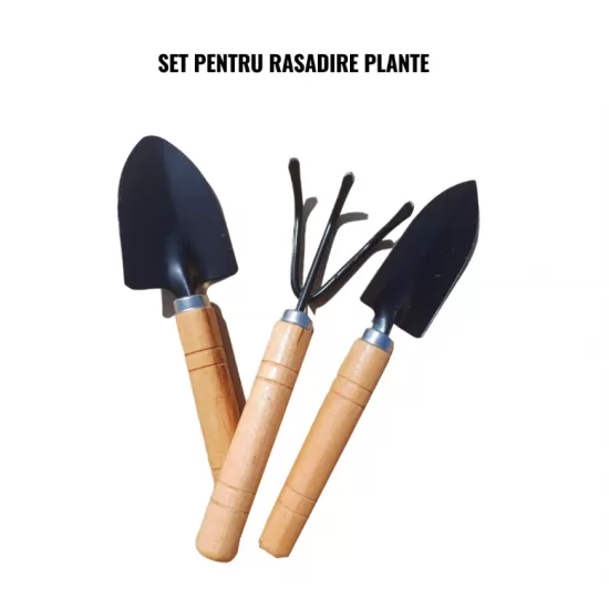 Solar legume 4 x 6 x 2.30m, folie 180g/m2 : Cadou Sistem de irigare + Ata palisare + Set rasadire plante Solar legume 4 x 6 x 2.30m, folie 180g/m2 : Cadou Sistem de irigare + Ata palisare + Set rasadire plante