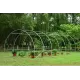 Solar legume 4 x 6 x 2.30m, folie 180g/m2 : Cadou Sistem de irigare + Ata palisare + Set rasadire plante Solar legume 4 x 6 x 2.30m, folie 180g/m2 : Cadou Sistem de irigare + Ata palisare + Set rasadire plante