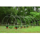 Solar legume 4 x 8 x 2.30m, folie 180g/m2 : Cadou Sistem de irigare + Ata palisare + Set rasadire