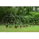 Solar legume 4 x 8 x 2.30m, folie 180g/m2 : Cadou Sistem de irigare + Ata palisare + Set rasadire Solar legume 4 x 8 x 2.30m, folie 180g/m2 : Cadou Sistem de irigare + Ata palisare + Set rasadire