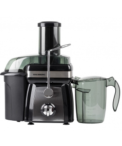 Storcator de fructe si legume Hausberg HB-7540, 1000 W, 2 viteze, recipient pulpa 1 l, recipient suc 1 l, accesoriu impingere, negru + argintiu