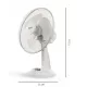 Ventilator de Birou 12" BÖHM BLTF-1203 Număr viteze 3, 40 W Ventilator de Birou 12" BÖHM BLTF-1203 Număr viteze 3, 40 W
