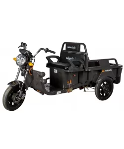 Triciclu Electric Cargo TRCC800,putere 800w,viteza maxima: 25 km/h; Triciclu Electric Cargo TRCC800,putere 800w,viteza maxima: 25 km/h;